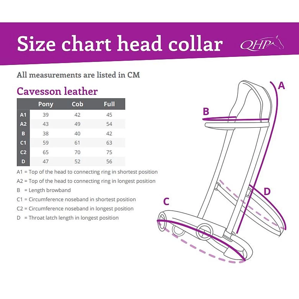 QHP Kaptoom | Leer 4 QHP Kaptoom | Leer - Image 2