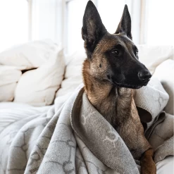 Adamsbro Plaid Luxe | Merino Wol | Beige -Equestrian Supply Store Skarmavbild2021 01 22kl.07.17.19 1434x1800