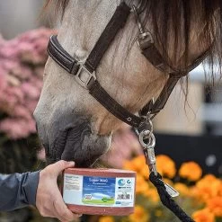 Liksteen | 3KG -Equestrian Supply Store SuperMAG QS horse02