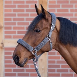 Busse Halster 3D Air Effect Pro -Equestrian Supply Store TN601318 030