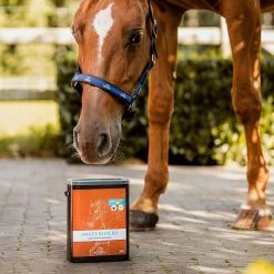 Emmers Paardensnoepjes Sweet Blocks | Appel | 3KG -Equestrian Supply Store Theresa20Sieben 2022 EMMERS DSC7615 HD