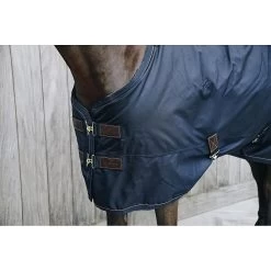 Kentucky Deken All Weather | Pro | 300G -Equestrian Supply Store Turnout Rug All Weather 300g 3