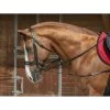 Norton Pro Elastische Bijzetteugel Met Kartrol -Equestrian Supply Store UK306394.zwart