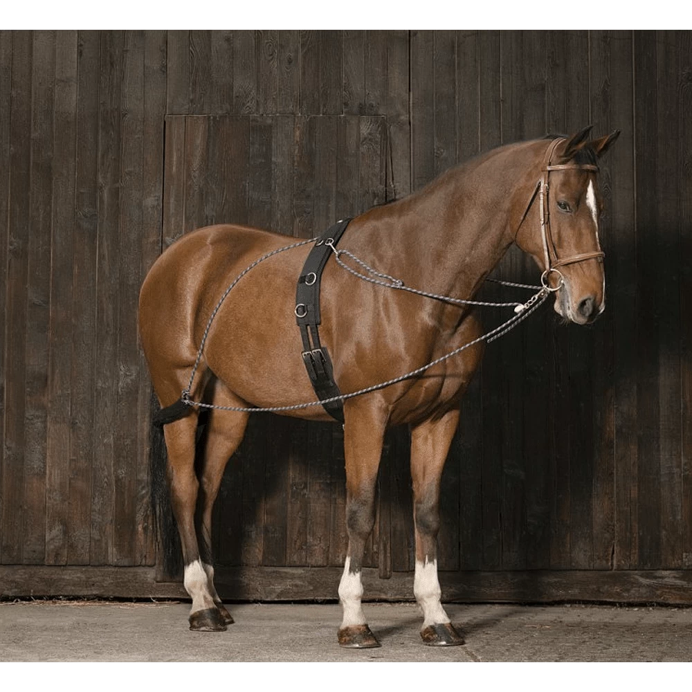 Pessoa Teugel 3 Pessoa Teugel