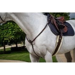 Dy'on Borsttuig | US Collectie -Equestrian Supply Store US06ABR 21