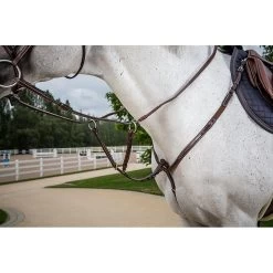 Dy'on Borsttuig | US Collectie -Equestrian Supply Store US07ABR 22