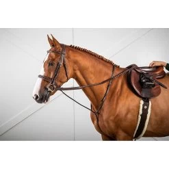 Dy'on Standing Martingale | US Hunter Collection -Equestrian Supply Store US07Hmartingale fixe brun over hunter collection 2