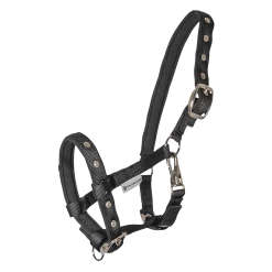 Veulenhalster Comfort