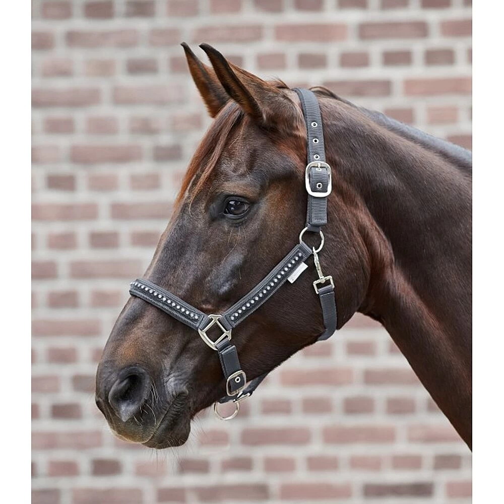 Halster Crystal 3 Halster Crystal