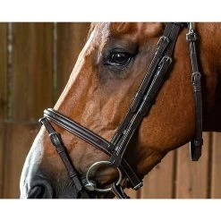 Dy'on Bakstukken 9 Dy'on Bakstukken -Equestrian Supply Store WO03Hmontants de mors avec couture creme brun full working by dyon 2
