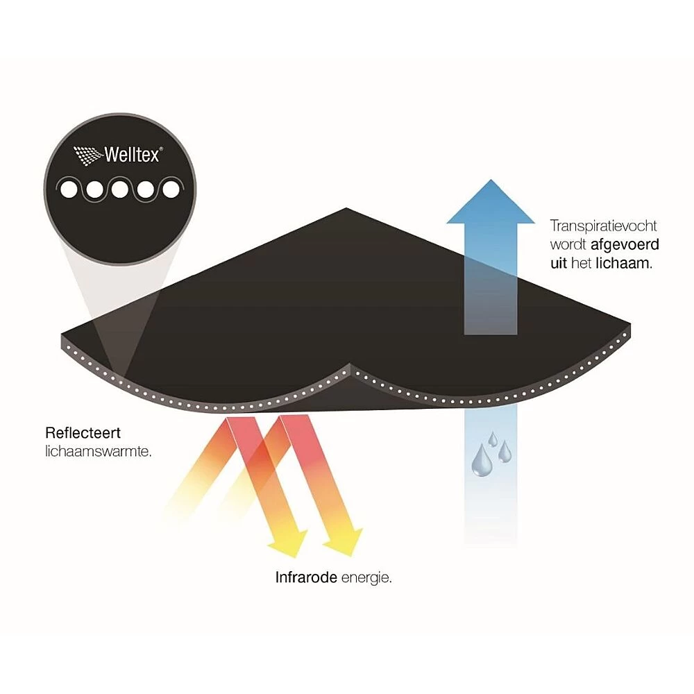 Back On Track Beenbeschermers | Voorbenen 5 Back On Track Beenbeschermers | Voorbenen - Image 3