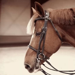 CWD Anatomisch Stang- En Trenshoofdstel -Equestrian Supply Store anatomic bridle 4