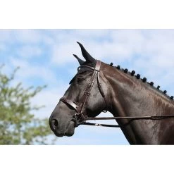 Dy'on Hoofdstel Hunter Neusriem | US Hunter Collectie -Equestrian Supply Store bridon hunter us brun over hunter collection 3