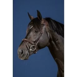 Dy'on Hoofdstel Gecombineerde Neusriem | US Collectie -Equestrian Supply Store bridon muserolle combinee brun full us collection 2