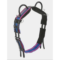 Busse Longeersingel Double