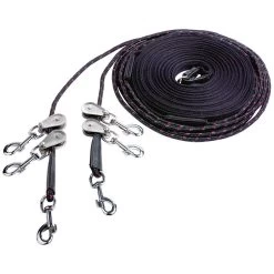 Busse Dubbele Longe Umlenkrollen RVS