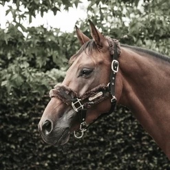 Kentucky Halster | Nylon + Wol 18 Kentucky Halster | Nylon + Wol -Equestrian Supply Store c e8502ded370e565d04389cf2c54c4715 article photobook crop24
