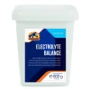 Cavalor Electrolyte Balance