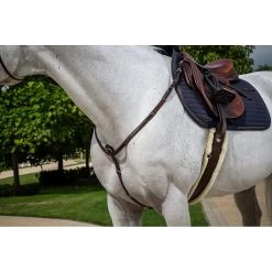 Dy'on Borsttuig | US Collectie