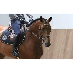 LJ Full Jump Assist 8 LJ Full Jump Assist -Equestrian Supply Store cover2 1000x623 1