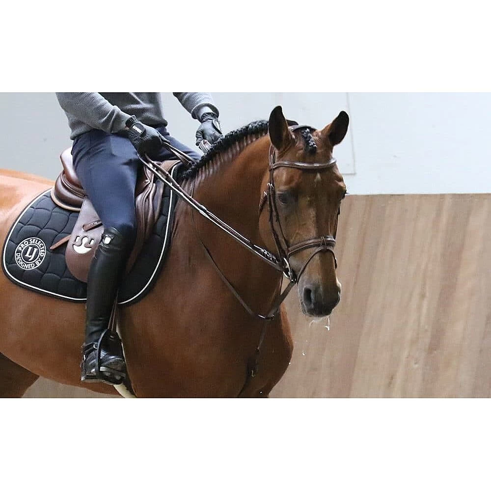 LJ Full Jump Assist 5 LJ Full Jump Assist - Image 3