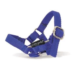Crafty Ponies Halster 14 Crafty Ponies Halster -Equestrian Supply Store crafty ponies halster blauw