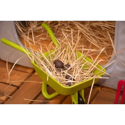 Crafty Ponies Onderhoudsset Stal & Erf -Equestrian Supply Store dddd 842e9e7f e74f 4285 ab0c bfa1bdfff9a5 590x