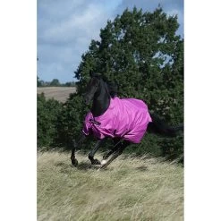 Bucas Freedom Turnout Light | 0 Gram