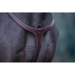 Dy'on Long Bridge Borsttuig - D Collectie -Equestrian Supply Store dyon borsttuig DY06CBR