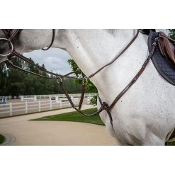 Dy'on Martingaalvork | US Collectie -Equestrian Supply Store dyon hunter collectie martingaalvork bruin sfeerfoto