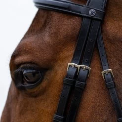 Trust Trenshoofdstel Amsterdam | Gecombineerde Neusriem -Equestrian Supply Store e18104 b121 Amsterdam20comb20anatomic20noseband20wider20in20middle HEUS23L296428 11idsgmf8v3rw