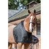 LeMieux Anti Rub Borstbeschermer Small -Equestrian Supply Store e4085d8b459424adef84e409df4b1b56.image .555x5551