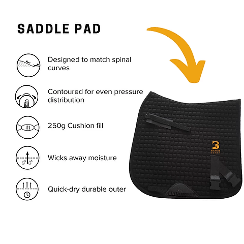 Equine Balance Band Dr 5 Equine Balance Band Dr - Image 3