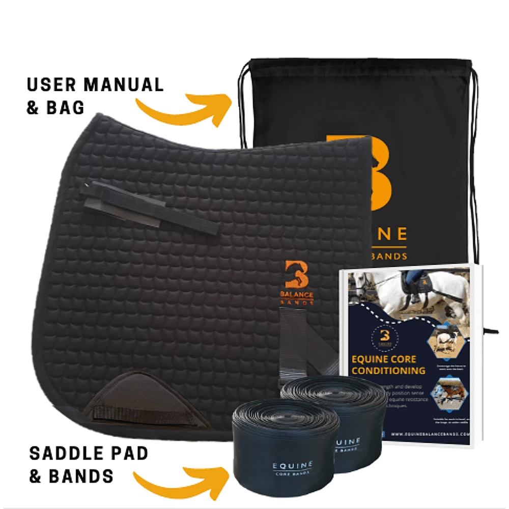 Equine Balance Band Dr 3 Equine Balance Band Dr