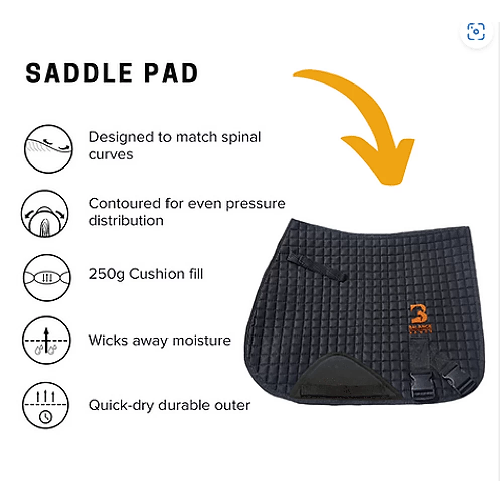 Equine Balance Band Springen 4 Equine Balance Band Springen - Image 2