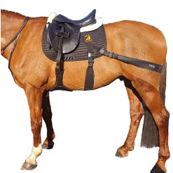 Equine Balance Band VZ 9 Equine Balance Band VZ -Equestrian Supply Store ebbalancebandvz.PNGzw