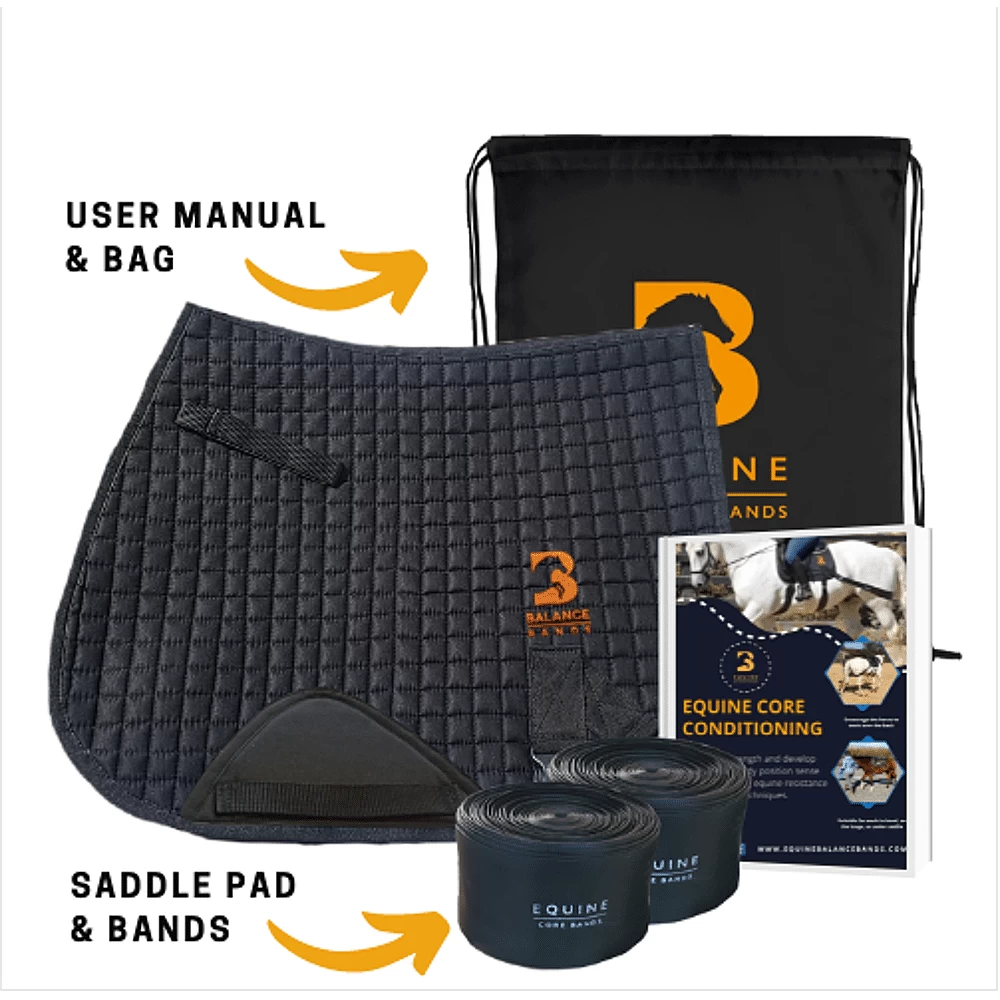 Equine Balance Band VZ 3 Equine Balance Band VZ