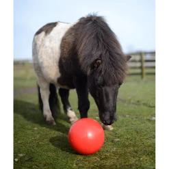 Likit Snak A Ball -Equestrian Supply Store ellikitsnakaballrood
