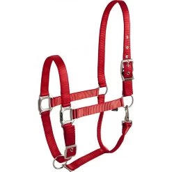 Equi-thème éclat Halster -Equestrian Supply Store equitheme eclat headcollar