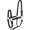 Equi-thème éclat Halster 2 Equi-thème éclat Halster -Equestrian Supply Store equitheme eclat headcollar1