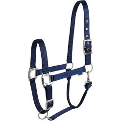 Equi-thème éclat Halster -Equestrian Supply Store equitheme eclat headcollar204