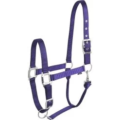 Equi-thème éclat Halster -Equestrian Supply Store equitheme eclat headcollar206