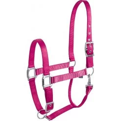 Equi-thème éclat Halster -Equestrian Supply Store equitheme eclat headcollar208