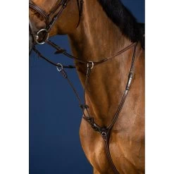 Dy'on Elastische Martingaal | US Collectie 7 Dy'on Elastische Martingaal | US Collectie -Equestrian Supply Store fourchette de martingale a anneaux elastique brun full us collection 2