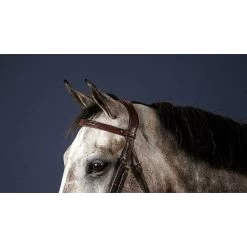 Dy'on Frontriem Recht | Leder -Equestrian Supply Store frontal droit brun over new english collection 3