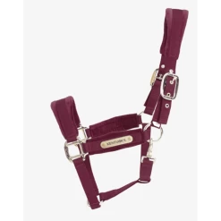 Kentucky Halster | Velvet -Equestrian Supply Store gl42558bor