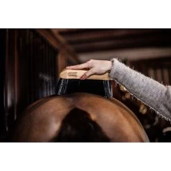 Grooming Deluxe Borstel Hard -Equestrian Supply Store grooming deluxe borstel gl82117 hard1