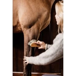 Grooming Deluxe Middel Harde Borstel 12 Grooming Deluxe Middel Harde Borstel -Equestrian Supply Store grooming deluxe middel harde borstel5