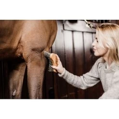 Grooming Deluxe Middel Harde Borstel 13 Grooming Deluxe Middel Harde Borstel -Equestrian Supply Store grooming deluxe middel harde borstel6