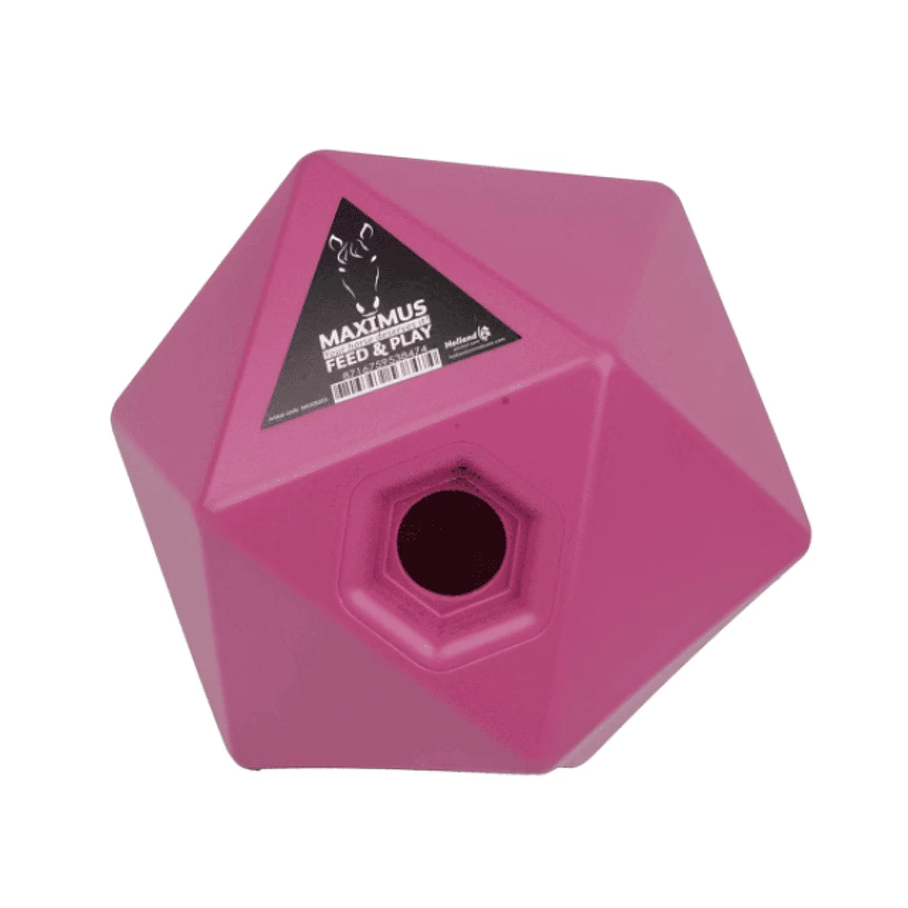 Maximus Feed & Play 4 Maximus Feed & Play - Image 2